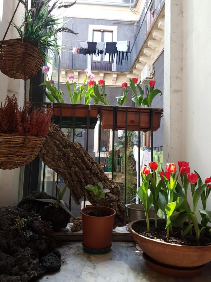 Bellini Apartment Katania Zewnętrze zdjęcie